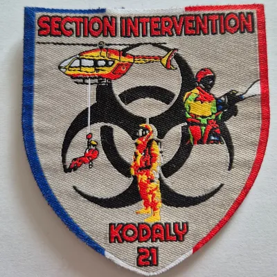 Section intervention kodaly 21