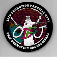 SEJF - Formation ODJ et OFJ - 2019 promoyion Pangolin 20?? -