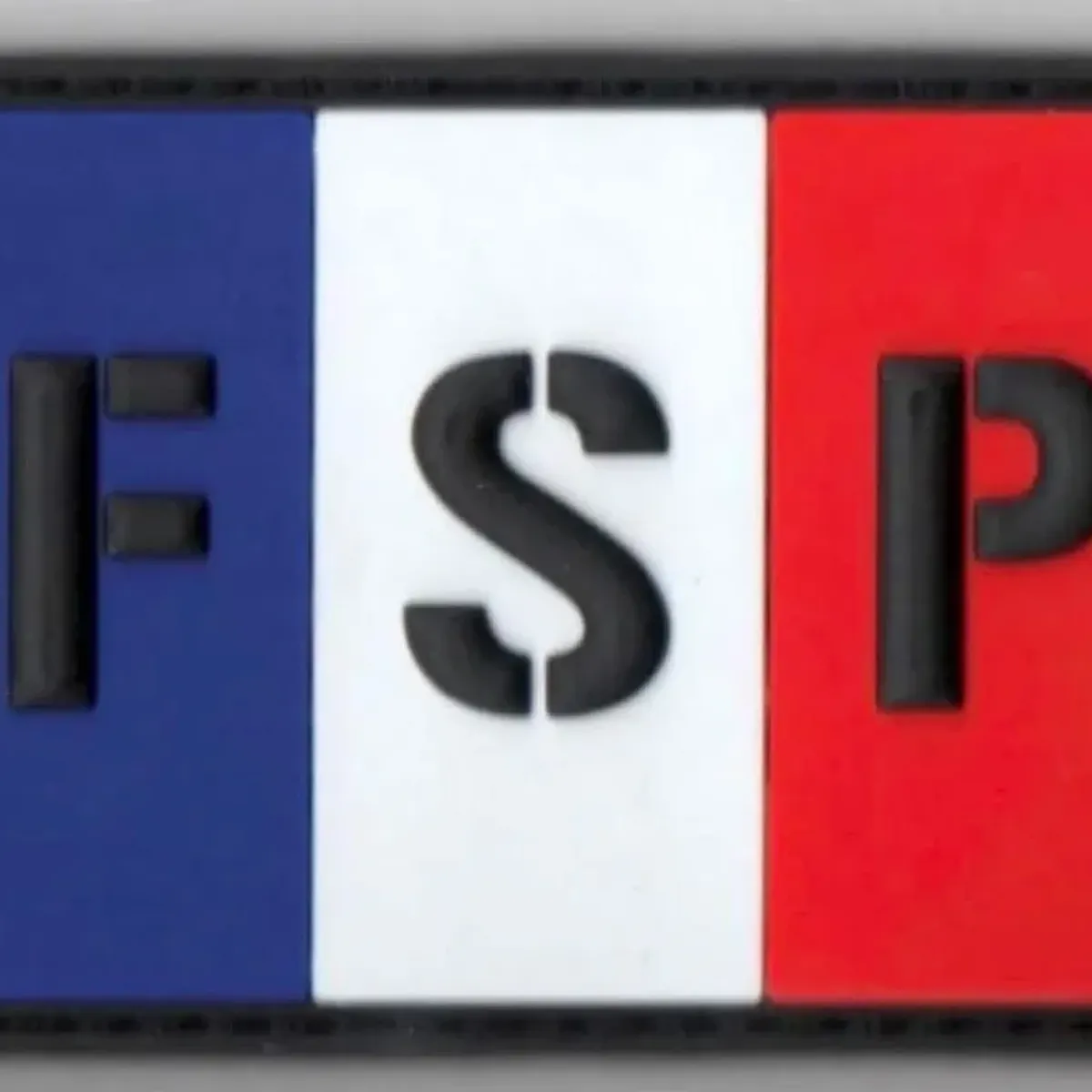 FSP GIGN