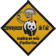 SSA Air : EAS Convoyeuse de l'Air "Espèce en voie d'extinction"