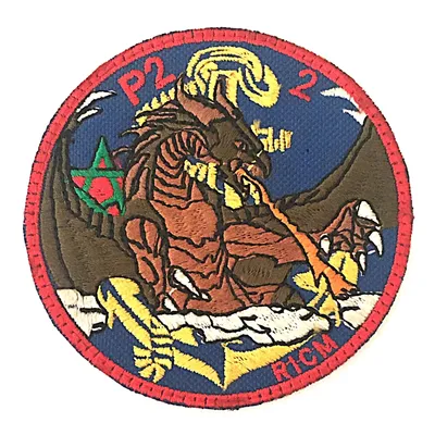 Régiment d'Infanterie Chars de Marine - 2e Escadron - 2e Peloton