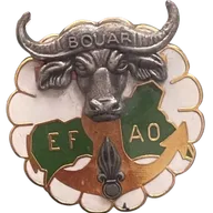Éléments Français d'Assistance Opérationnelle EFAO