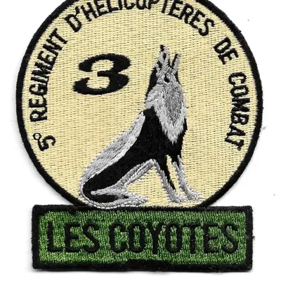 5e RHC - 3e EHA - Les Coyotes