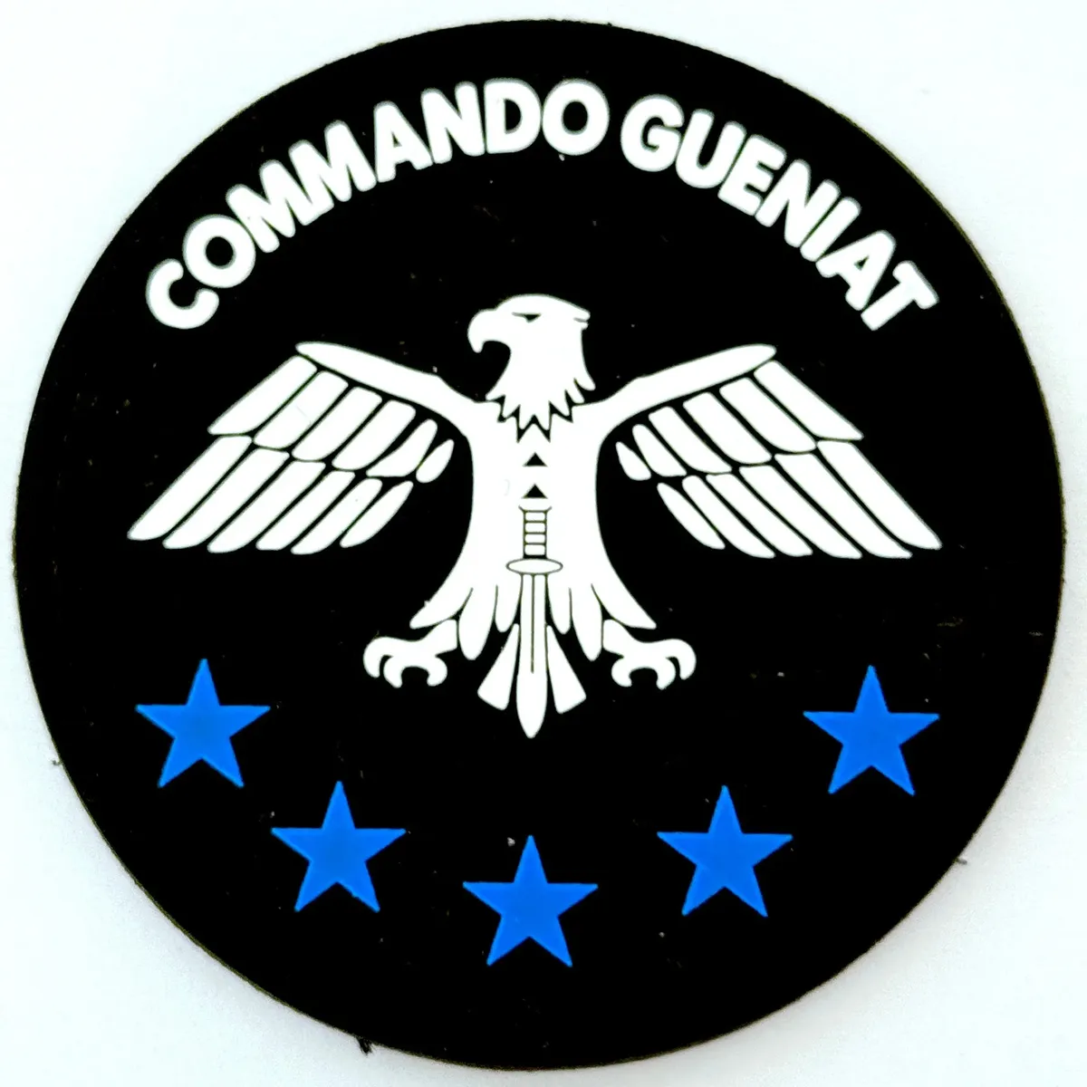 17e RGP - GCP