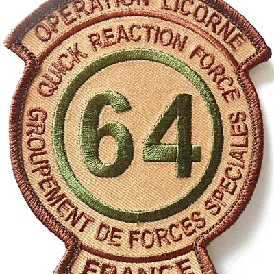 1er RPIMa - Opération LICORNE - GFS/QRF 64