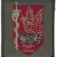 SSA : Régiment Médical Félin type 1 Etat Major