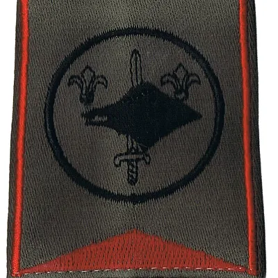 Passant d'épaule du Groupe d'Escadrons 2ème Régiment de Chasseurs - 2ème Escadron (V1)