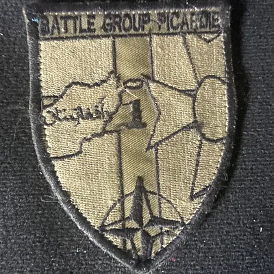 GTIA Battle group Picardie (basse visibilité)