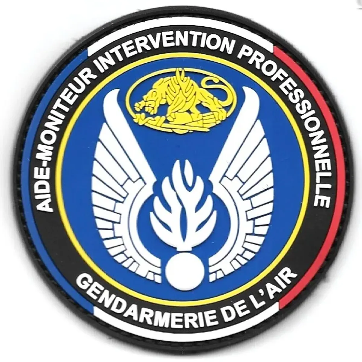 GAE - Aide-Moniteur Intervention Professionnelle 