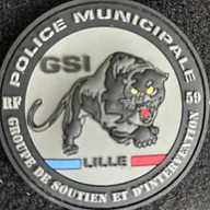 Police Municipale Lille - GSI