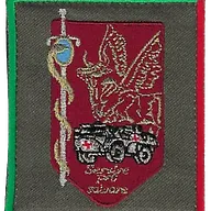 SSA : Régiment Médical Félin type 1 2ème NRBC