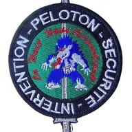13e RDP - 1er escadron - PSI