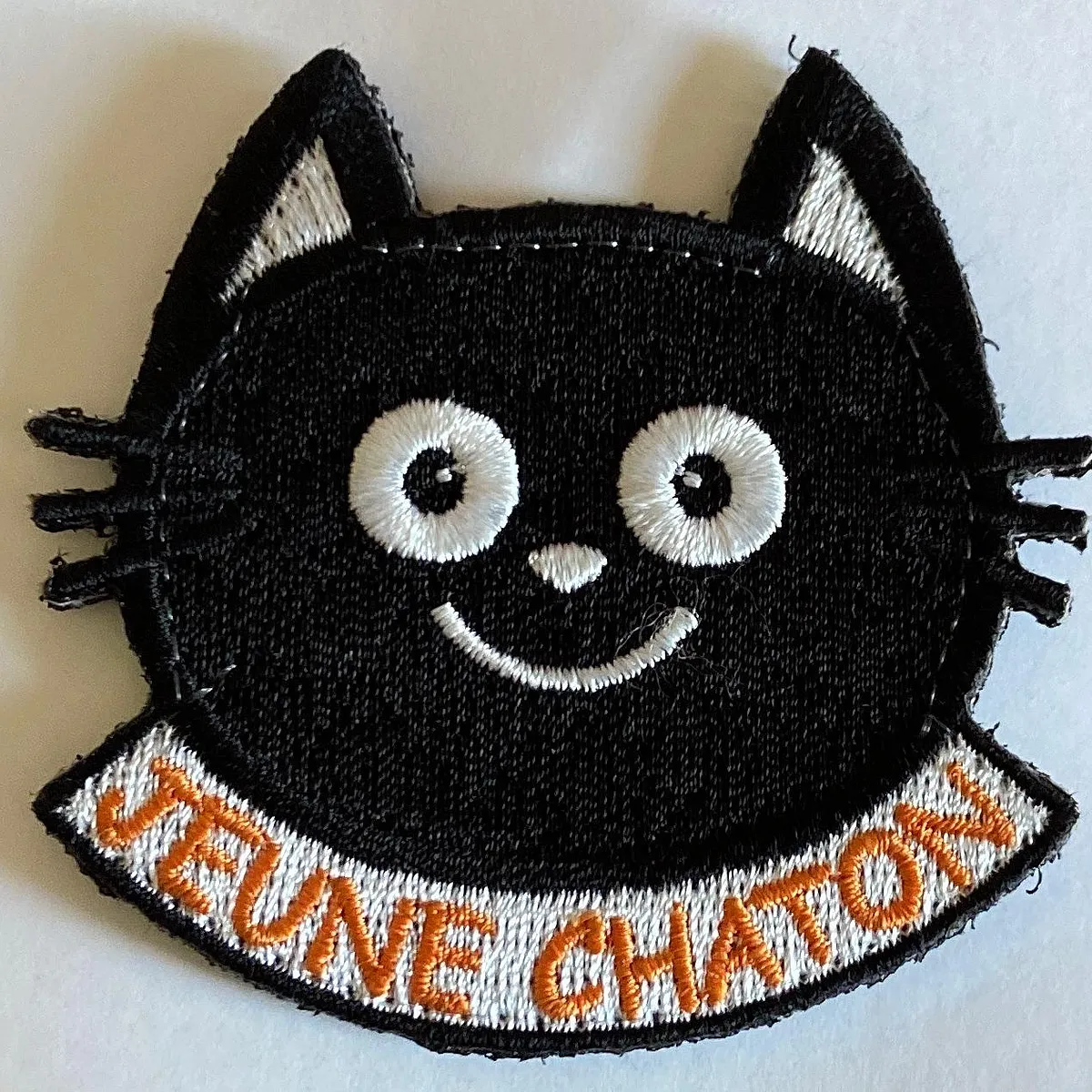 4F - Jeune chaton