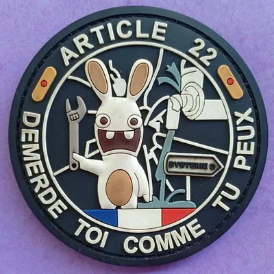 Article 22 - Lapin Crétin
