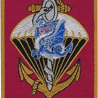 SSA : Antenne Médicale 168 (Castres) Couleurs