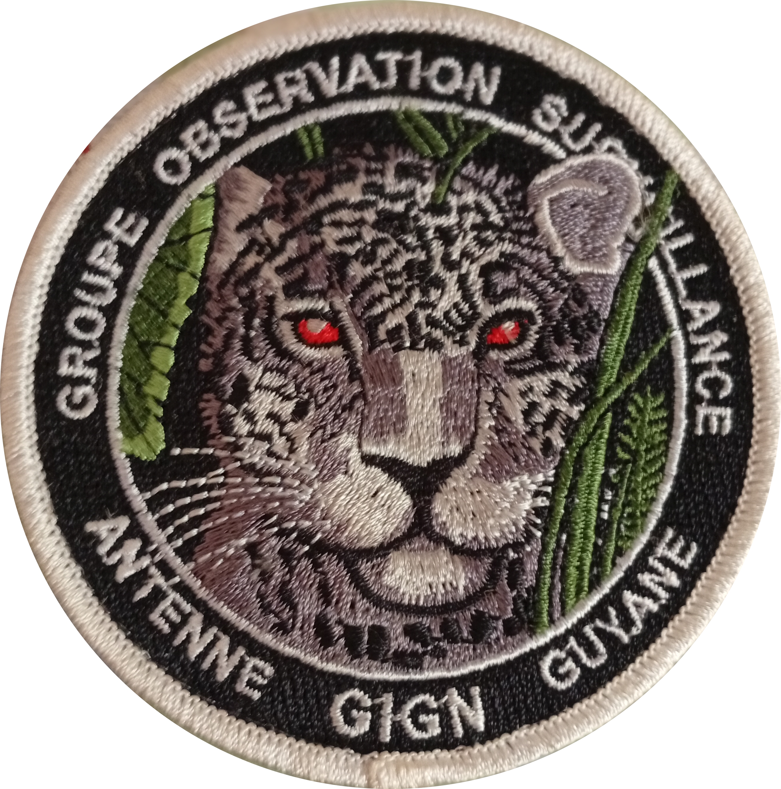 Antenne GIGN Guyane - GOS