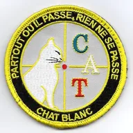 Chat Blanc - CAT