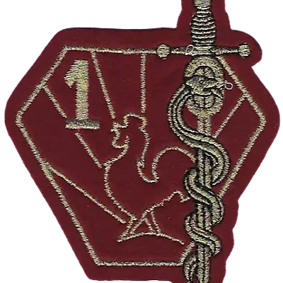 SSA : 1er Régiment Médical