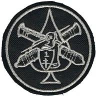 Groupe d'Escadrons 501° Régiment de Chars de Combat - 1° Compagnie - 1° Section