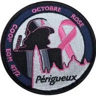 EGM 47/2 Périgueux - Octobre rose