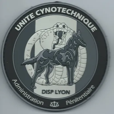 Cynotechnie pénitentiaire - DISP - Lyon
