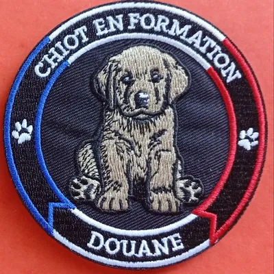 Chiot en Formation - Douane