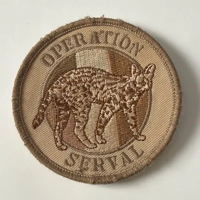 Opération Serval