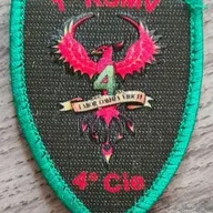 1er RSMV / 4e Cie