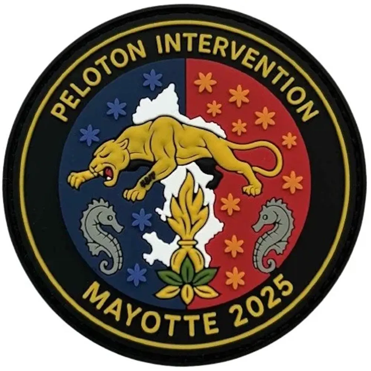 PI EGM 43/7 Decize - Mayotte 2025