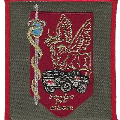 SSA : Régiment Médical Félin type 1 2ème CMC