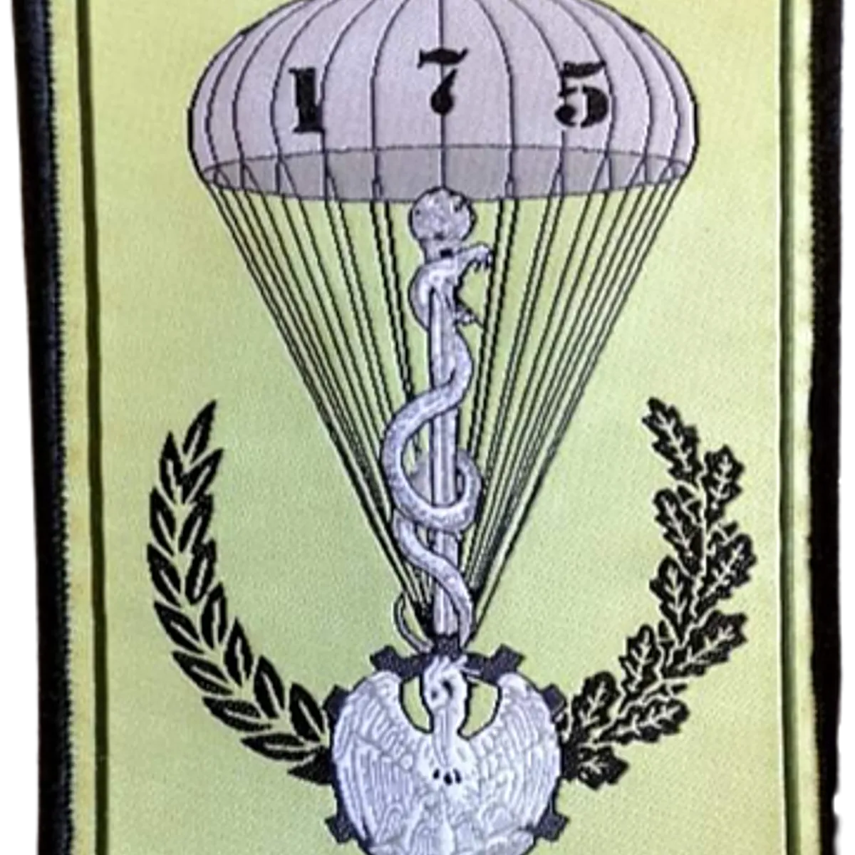 SSA : Antenne Médicale 175 (Toulouse)