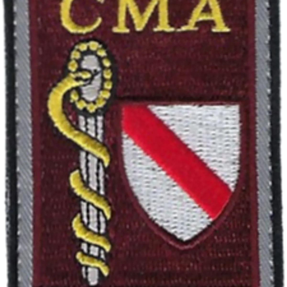 SSA : CMA Strasbourg (5ème CMA) 