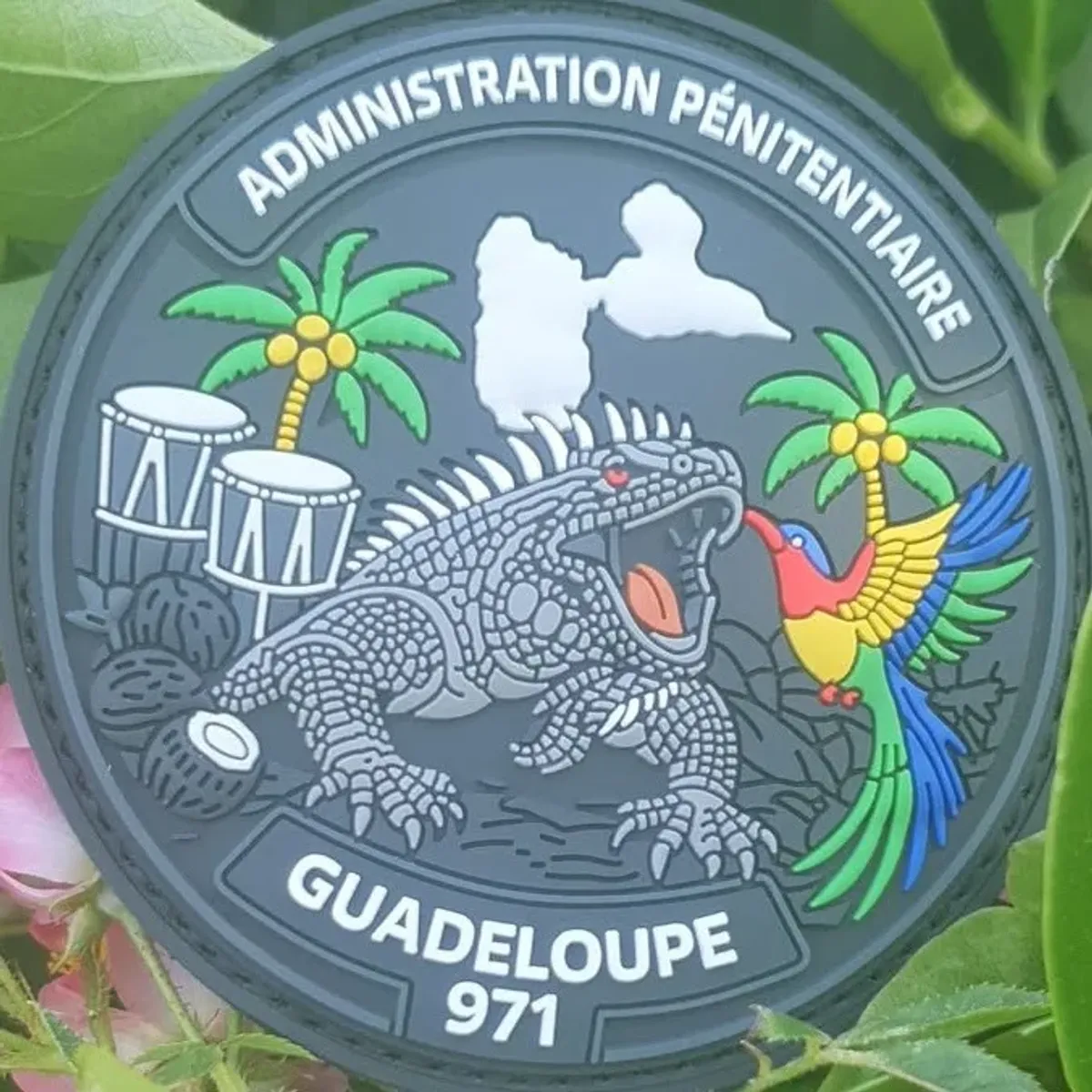 Administration pénitentiaire Guadeloupe