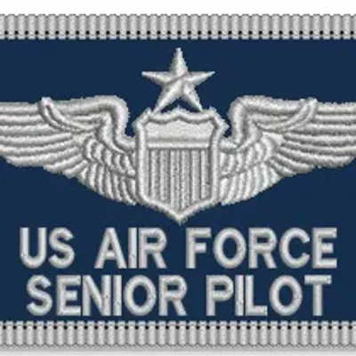 Air Force Pilot