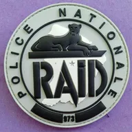 RAID - 973 
