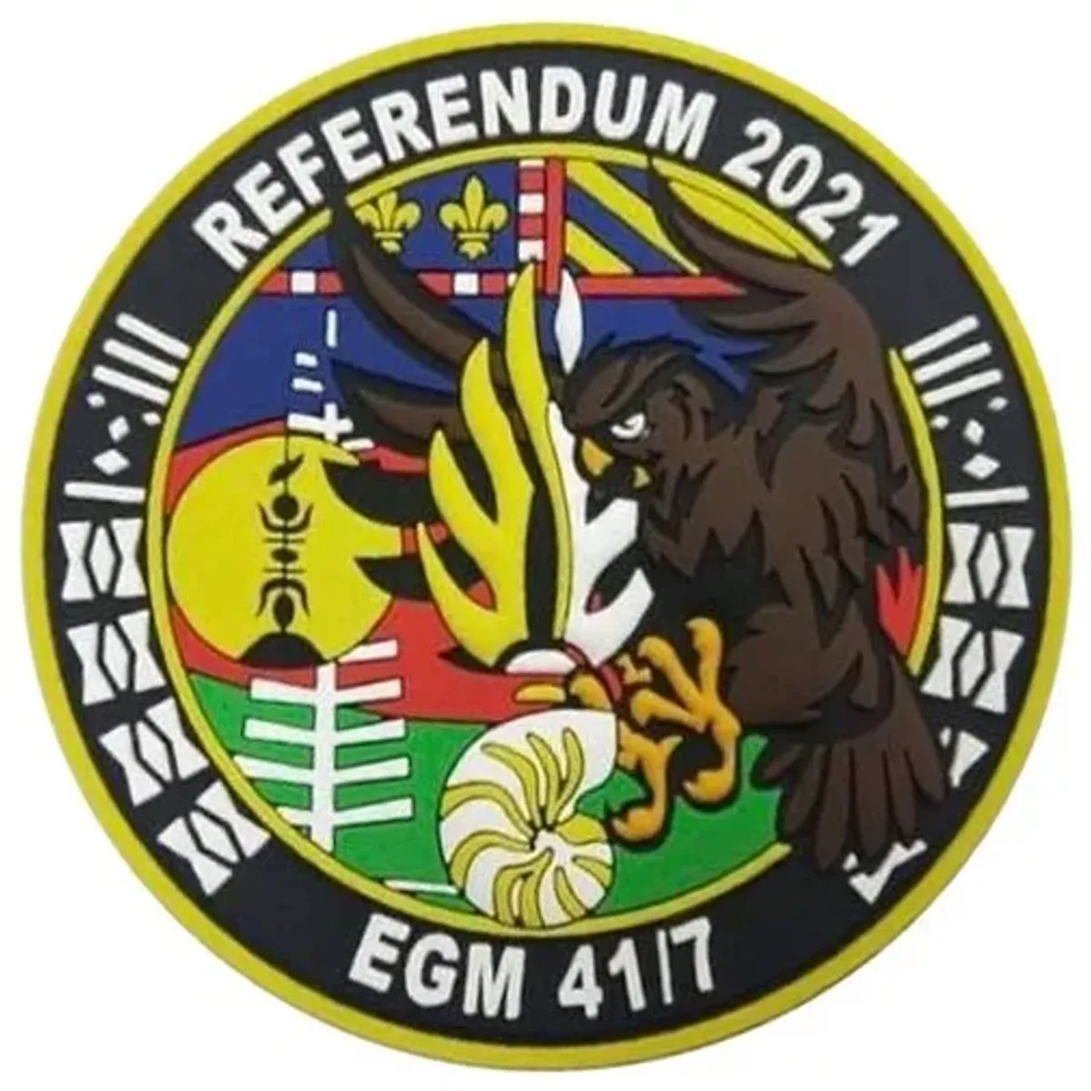 EGM 41/7 Dijon - Référendum NC