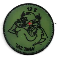 CPA 10 - 13B TAZ Team