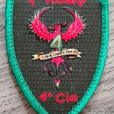 1er RSMV / 4e Cie
