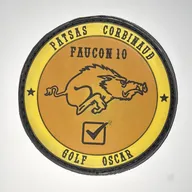 2ème Régiment de Hussards, Opération Barkhane, détachement Faucon 10
