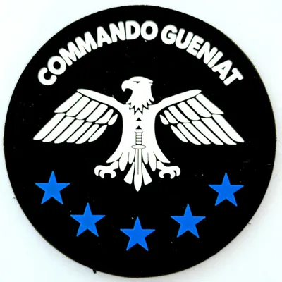17e RGP - GCP