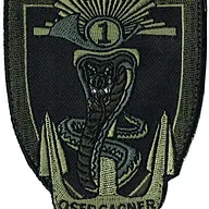 1er Régiment de Chasseurs - 1er Escadron (V2)
