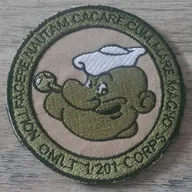 OMLT / 1/201eme Corps / Popeye