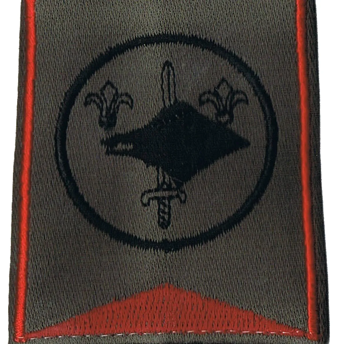 Passant d'épaule du Groupe d'Escadrons 2ème Régiment de Chasseurs - 2ème Escadron (V1)