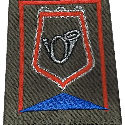 Passant d'épaule du Groupe d'Escadrons 1er Régiment de Chasseurs - 2ème Escadron (V2)