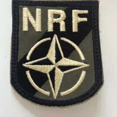 FORCE DE REACTION DE L’OTAN - NATO Response Force