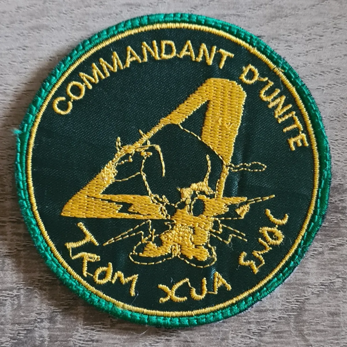 53e RT/ 4e Cie / Commandant d'unité 