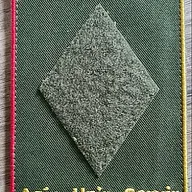 28e RT / 10e Compagnie / Agir - Unir - Servir