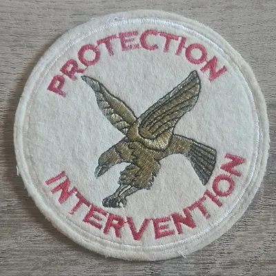 44e RT / Protection Intervention / Variante 