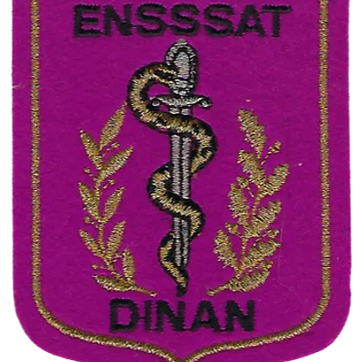 SSA : ENSSSAT Dinan 8 feuilles (chêne)
