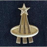 épinglette des astronautes NASA